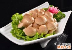 蟹味菇的营养价值及功效