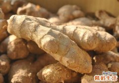 生姜放久变绿能吃吗 生姜发的绿芽能吃吗