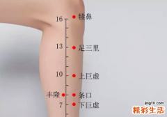 玉米须可以去湿气吗 湿气重怎么吃玉米须