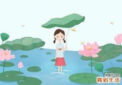 三伏天吃什么去湿最好