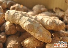 三伏天如何去湿气寒气