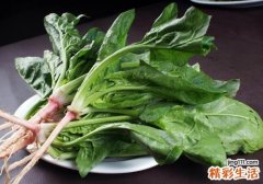胃不好吃什么食物养胃 这些食物不要放过