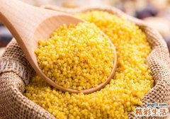 孕妇吃什么养胃 7种养胃食物