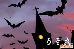 2023年万圣夜和万圣节区别