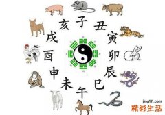 肺经排毒时间
