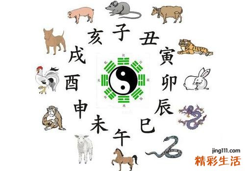 肺经排毒时间
