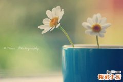 为什么抑郁症会失眠