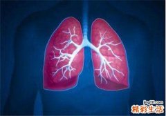 体内吃什么排毒最好 各个器官的排毒方法