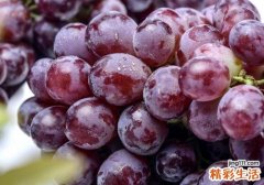 孕妇血糖高可以吃葡萄吗 孕妇血糖高吃葡萄有影响吗