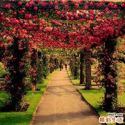 4 让心静下来的养生良方