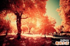 男人爱冲动发脾气实为不自信