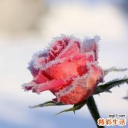 父母不能在孩子面前吵架