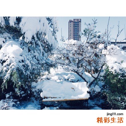 用卤肉料怎么卤肉