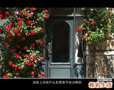 快速瘦背瘦手臂的八种按摩法