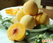 黄桃可以保存到冬天吗 黄桃怎么保存到冬天