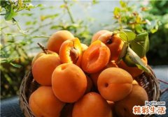 黄桃是什么季节的水果 黄桃和西瓜能一起吃吗