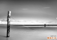 什么食物可以减压