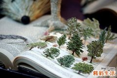 瘢痕性脱发可以并发哪些疾病？