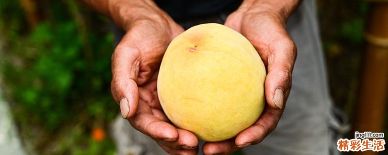 黄桃发黑还能吃吗 黄桃变软了还能吃吗