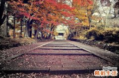 蚬子肉的吃法_哪些人不能吃蚬子肉