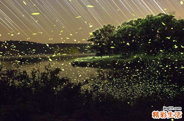 西红柿的吃法_哪些人不能吃西红柿