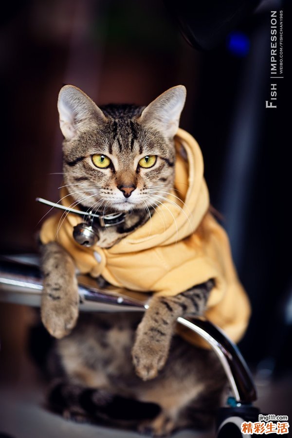 婴幼儿急救手冊