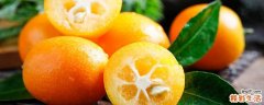 为什么金桔吃了嘴麻 怎么吃金桔不麻