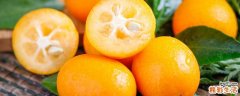 金桔是热性还是凉性 金桔是上火还是下火