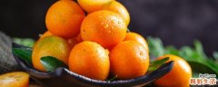 金桔熬冰糖的做法和功效 金桔熬制多久才能出来效果