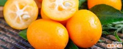 金桔的功效与作用禁忌 金桔怎么做治咳嗽效果好