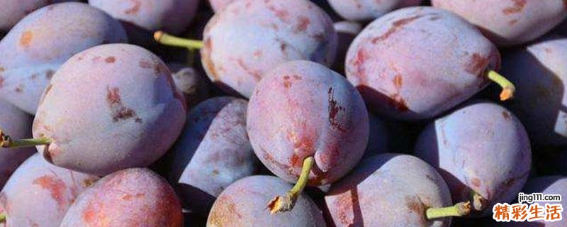 西梅皮上的白霜可以吃吗 西梅表皮的白霜是什么