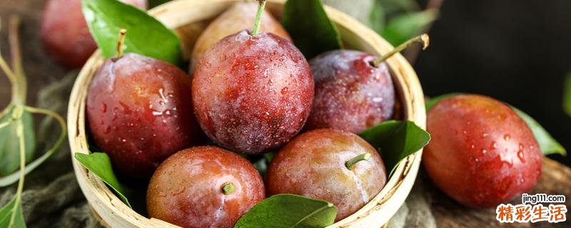 西梅是什么水果 西梅是哪个季节水果