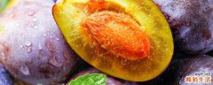 西梅核吞肚里能排出吗 西梅核仁可以吃吗