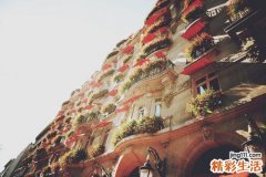 指甲下外生骨疣 甲下外生骨疣