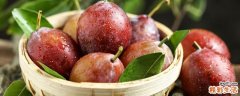 西梅变软了还能吃吗 什么样的西梅不能吃
