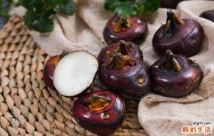 荸荠需要煮多长时间 荸荠如何煮好吃