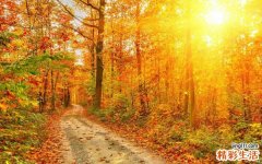 血小板寿命缩短是怎么回事？