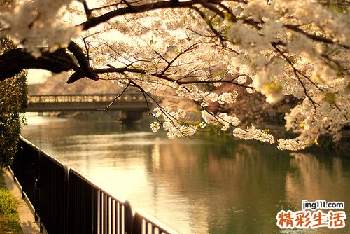 眼神异常是怎么回事？