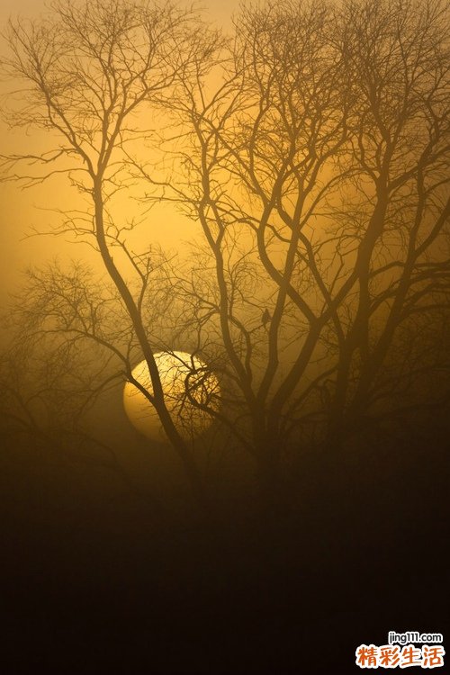 高血压脑病可以并发哪些疾病？