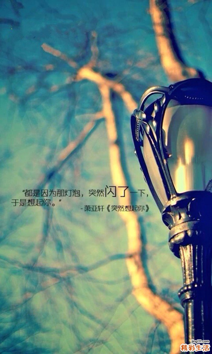 发作性睡病易导致什么并发症