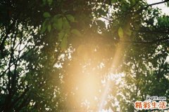 小儿Reye综合症引发什么疾病