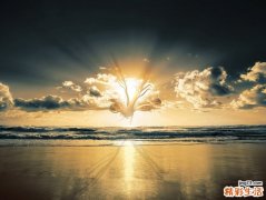 腌腊八蒜用什么米醋