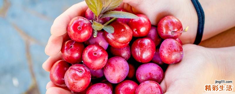 李子糖分高吗 李子可以降血糖吗