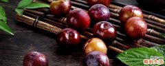 慢性胃炎可以吃李子吗 慢性胃炎饮食禁忌