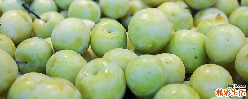 李子是什么季节的 青李子几月有