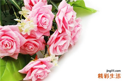 【瘦背部的方法】打造极致美背