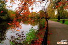 癞病 崔氏苍耳酒——