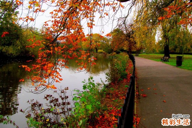 癞病 崔氏苍耳酒——