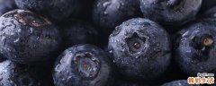 蓝莓可以吃皮吗 蓝莓皮宝宝能吃吗