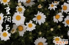 2023重阳节有哪些美食